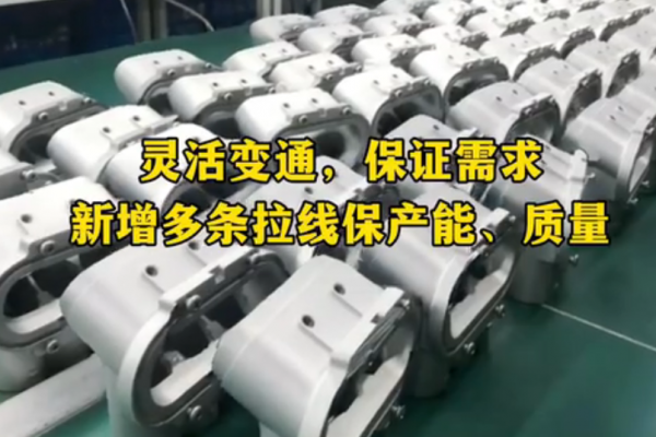 靈活變通，保證需求-新增多條拉線，保產(chǎn)能、保質(zhì)量